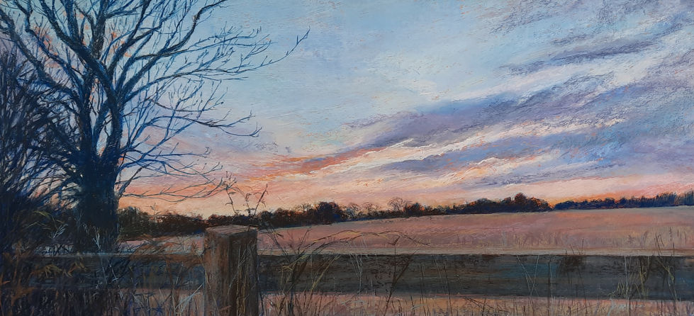 Sunset in Cambridgeshire, from a garden.