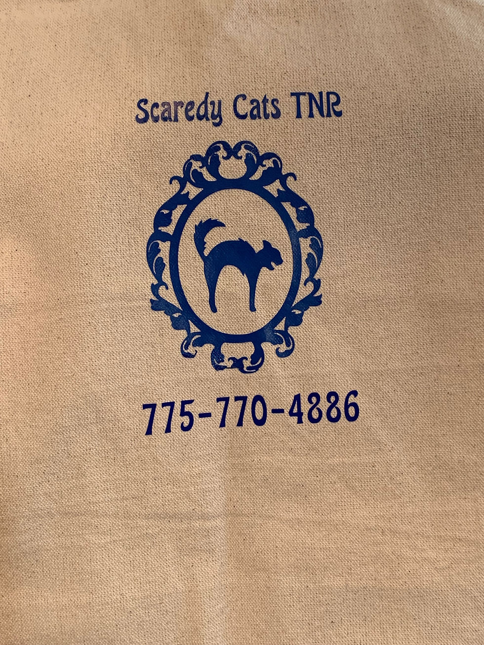 Scaredy Cats TNR Tote
