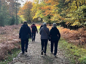 Weekend Walkers 1 - 02.11.25.jpg