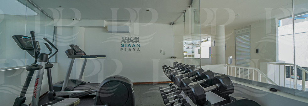 Condo penthouse de 4 chambres SIAAN en vente sur playa del carmen au Mexique