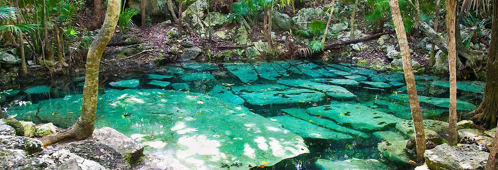 cenote.JPG