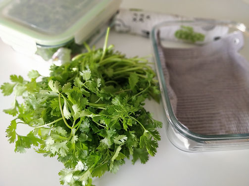 bien_conserver_ser_herbes_salades