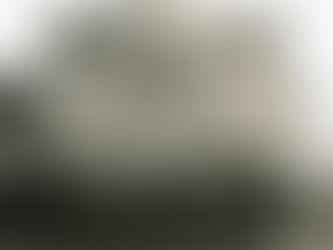 Snowed-In, Lovesick Cowboys