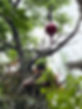 Climber5 copy.jpeg