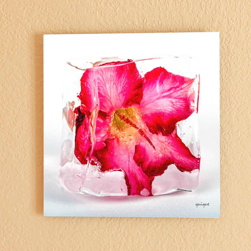 bathroom decor. Picture of red flower inside a clear ice cube