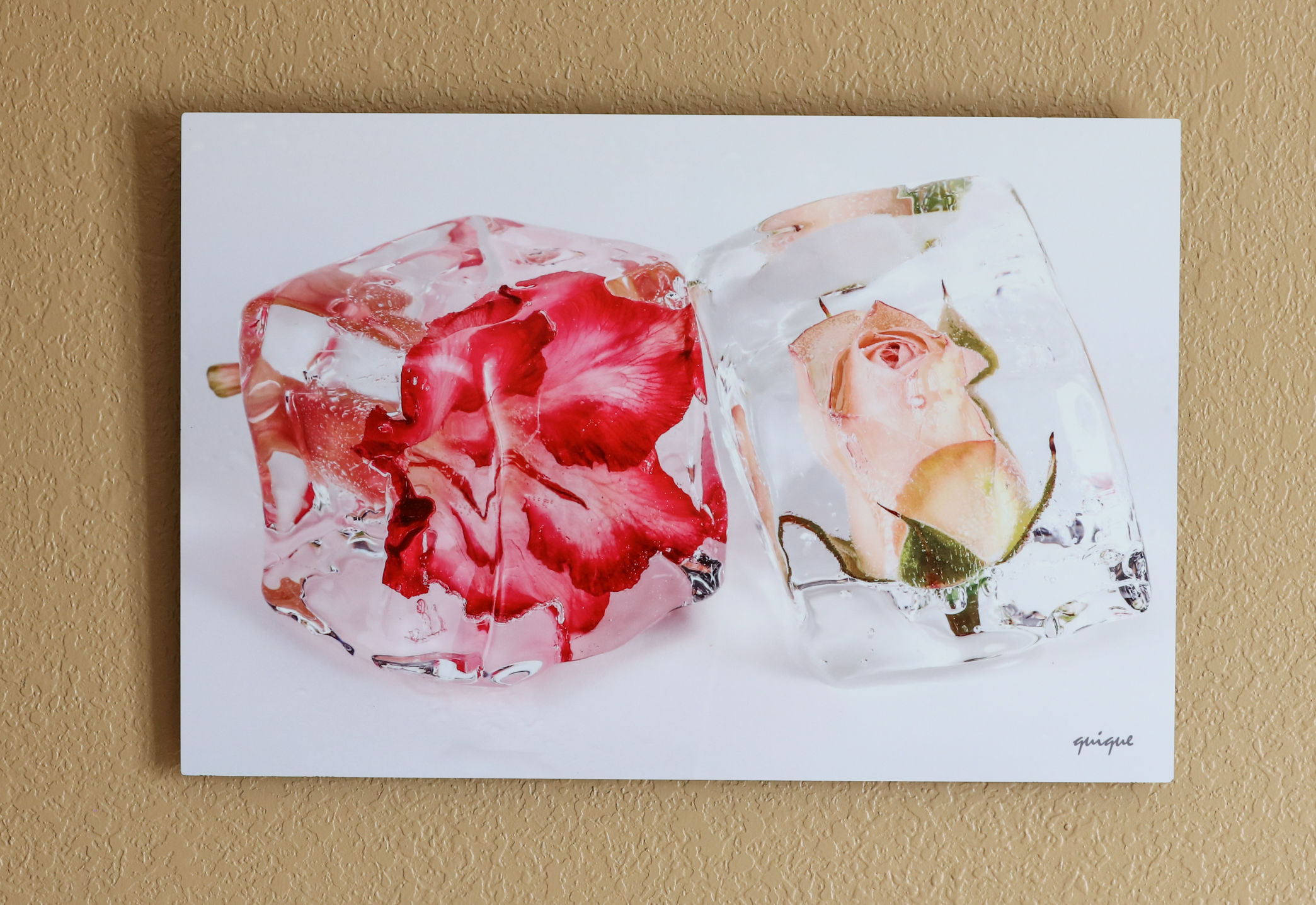 Bathroom wall decor, two flowers inside clear ice cubes