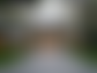 Houston Luxury Real Estate Insights: Exploring Luxury Real Estate in Houston