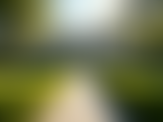 Steps to Buying High-End Properties: Your Guide to Luxury Living