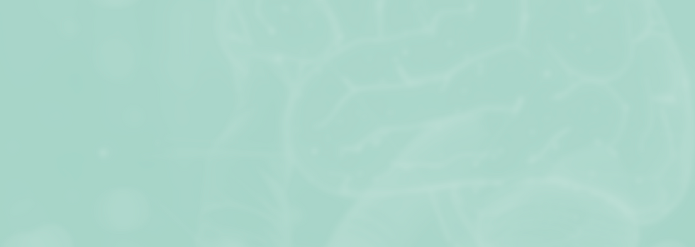 fundo-filosofia.png