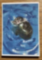 Cute Original Painting of an awkward sealion