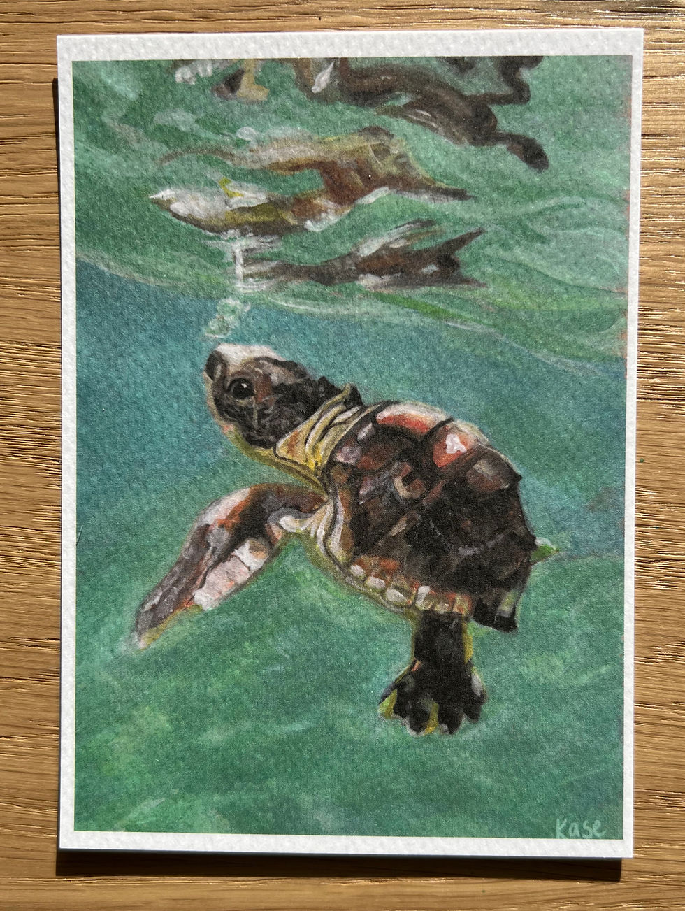 Cute Sea Turtle Art Print by Kase The Caffeinated Hippo