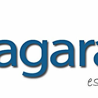 Foto del escritor: Niagara Viajes Cumbres