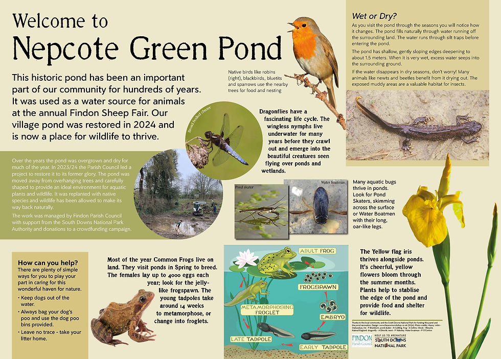 Village pond interpretation panel