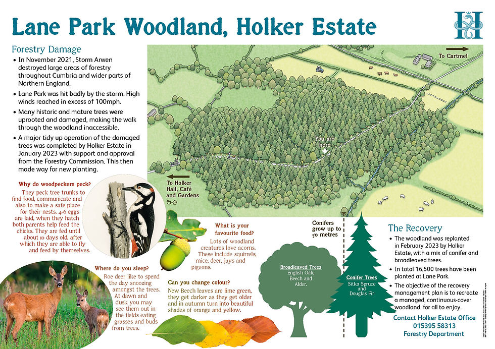 Woodland panel with map