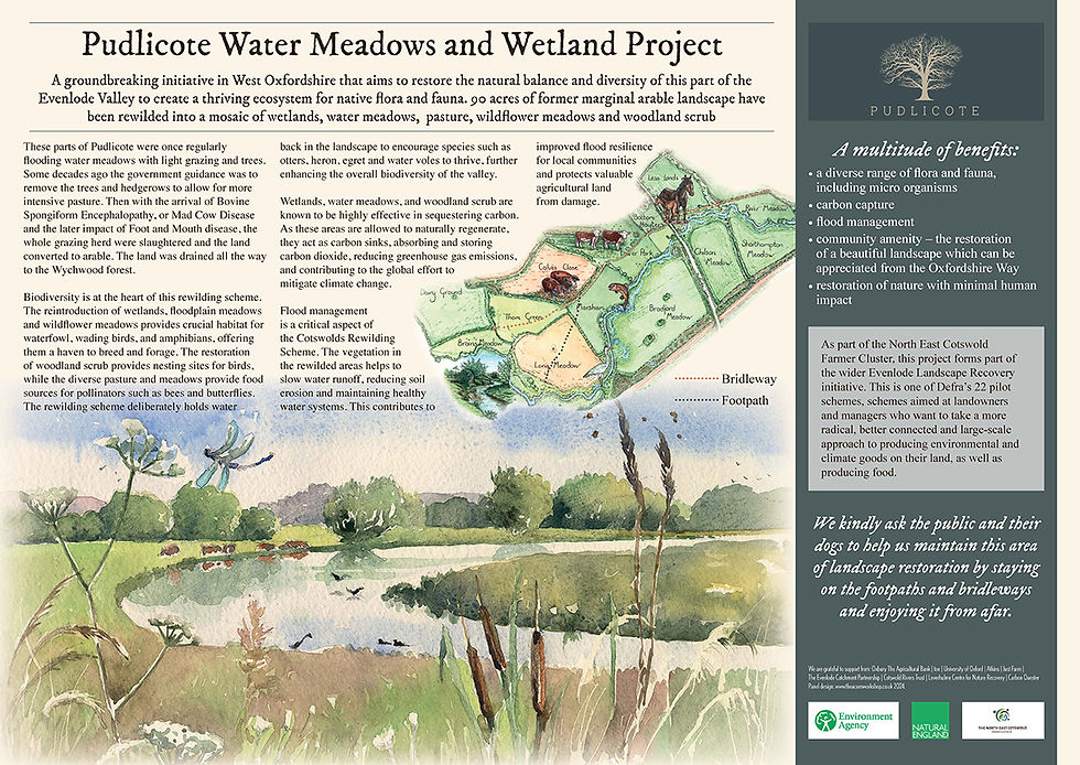 Pudlicote water meadows_A1_interpretation panel