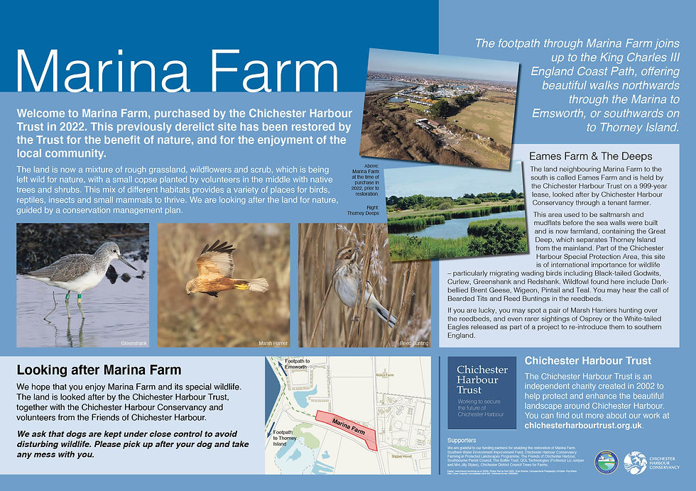 Marina Farm 2024