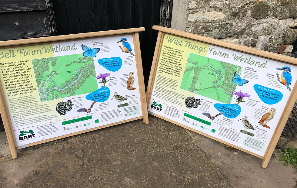 A1 oak frame interpretation panels