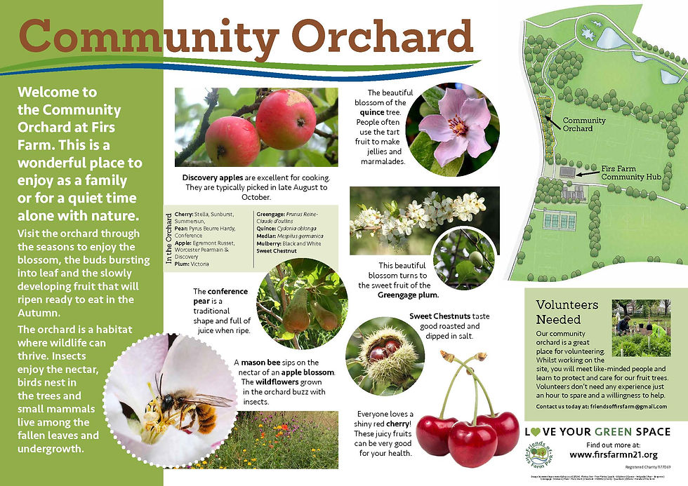 Community Orchard A1 information panel