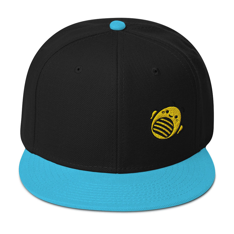 Thumbnail: Snapback Hat