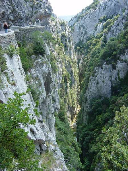 Les gorges de Galamus