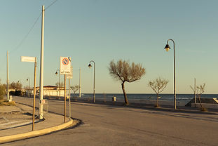 _DSC0809.JPG