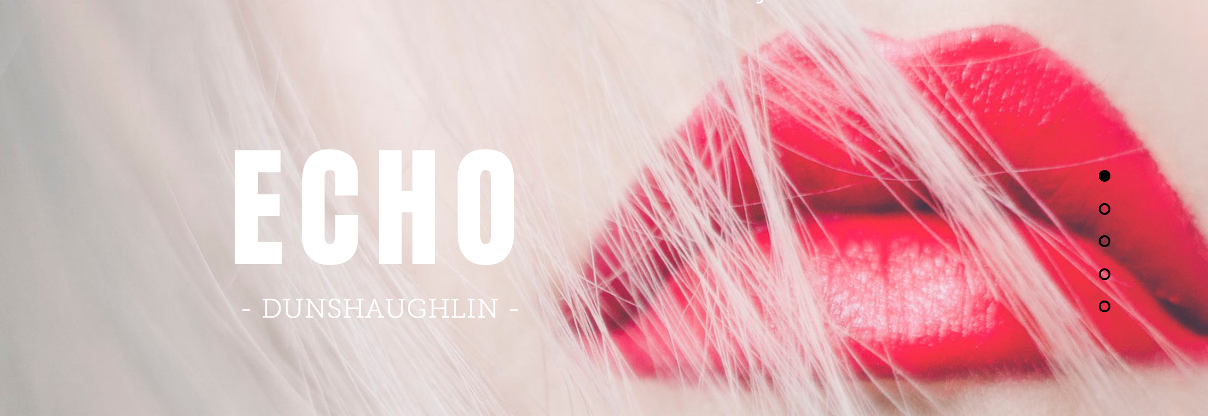 Home Echo