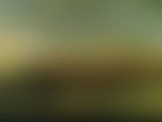 The Life and Work of CPE Bach