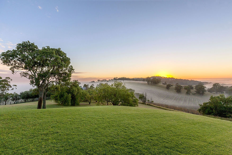 The Art of the Violin, Hunter Valley NSW, October 2026