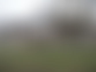 Haydn's Symphonies: Part 1