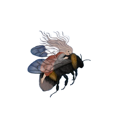 amalia 15.png