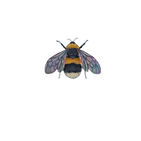 Screenshot 2023-05-18 at 17.08.57 (1).png