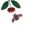 bee 8.png