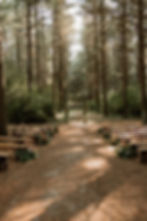 Abloom Farm wedding ceremony in Wisconsin featuring a natural backdrop and intimate guest experience