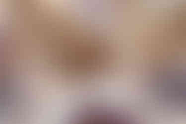 mauve geometric vase with roses