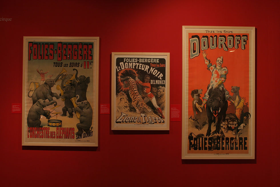 MUSÉE D'AQUITAINE - MUSIC-HALL