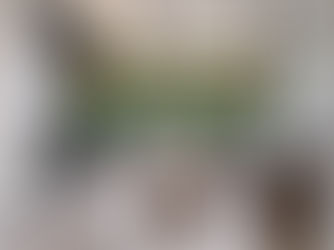 常見木地板種類