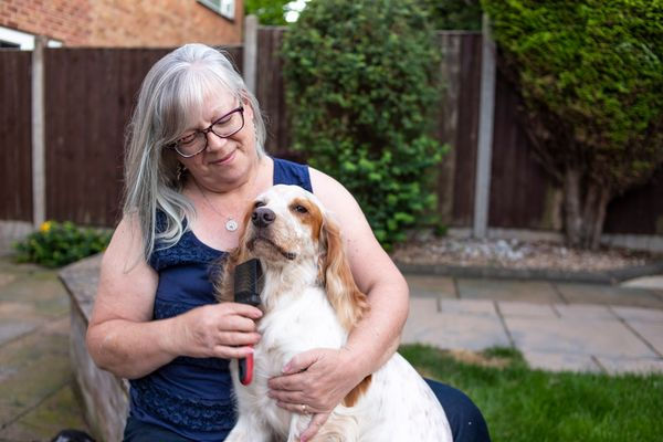 Sue Williamson | Taking the Grrrr out of Grooming