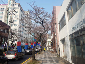 Dining Snippets in Jeju (2019): Hello Kitty Café x Donsadon