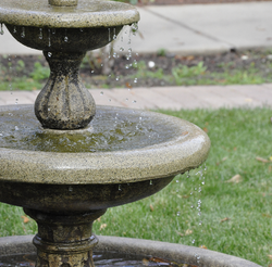 Scholarship for Incoming Students