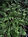 IMG_2355.jpeg