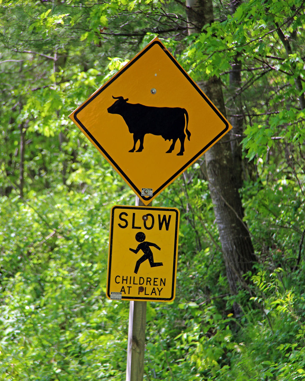 Cow, children at play signs along Rustic Road 6 in Chippewa County