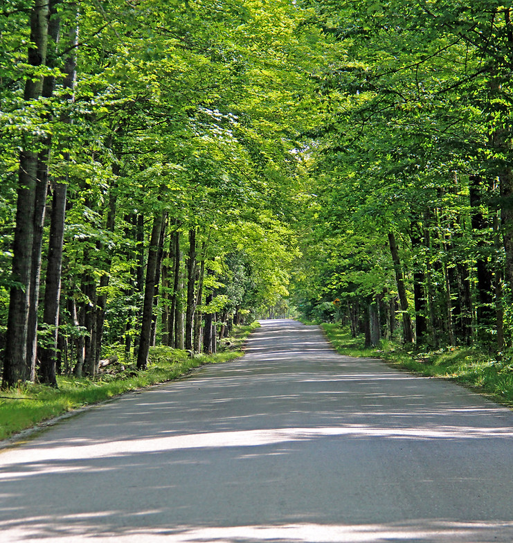 Rustic Road 119 on Washington Island