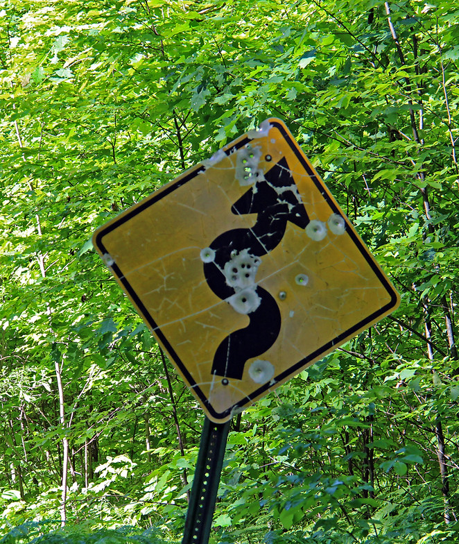 Curvy road sign with bullet holes along Rustic Road 32 in Marinette County