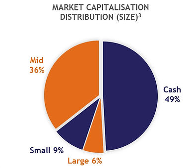 Pie chart of portfolio by size: Cash 49%, Mid-cap 36%, Small-cap 9%, Large-cap 6%."