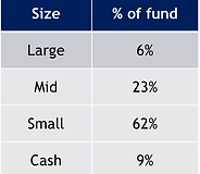 Table showing fund allocation: Small-cap 62%, Mid-cap 23%, Cash 9%, Large-cap 6%.