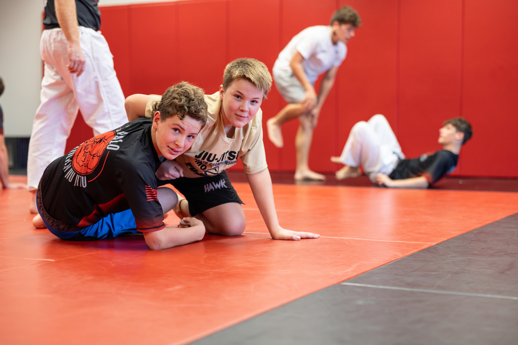 Cavalo BJJ