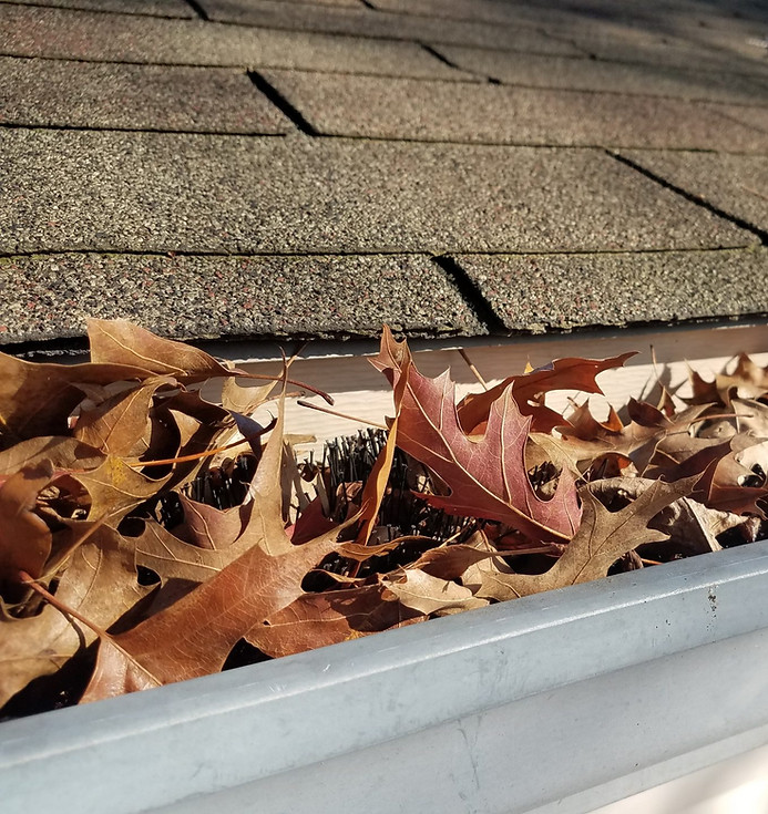 leaves-in-gutter.jpg