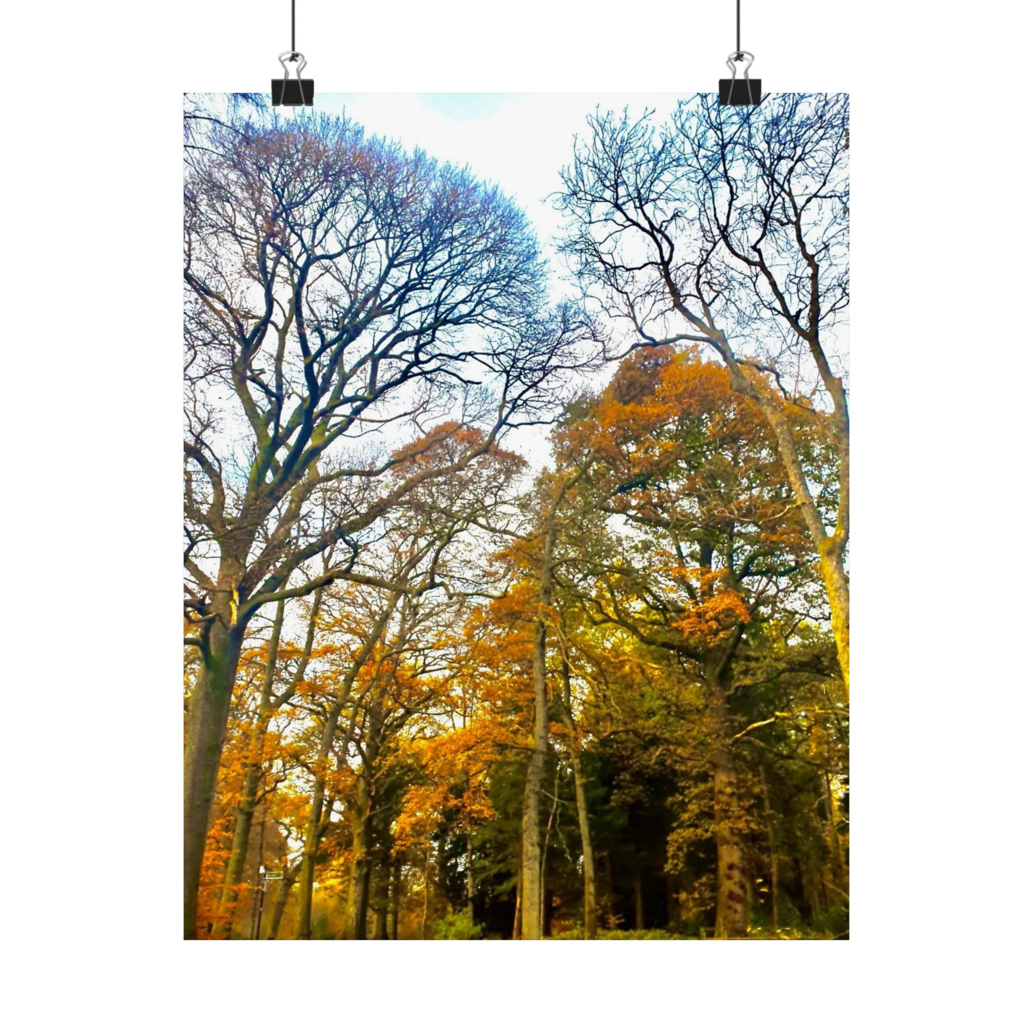 Premium Matte vertical posters