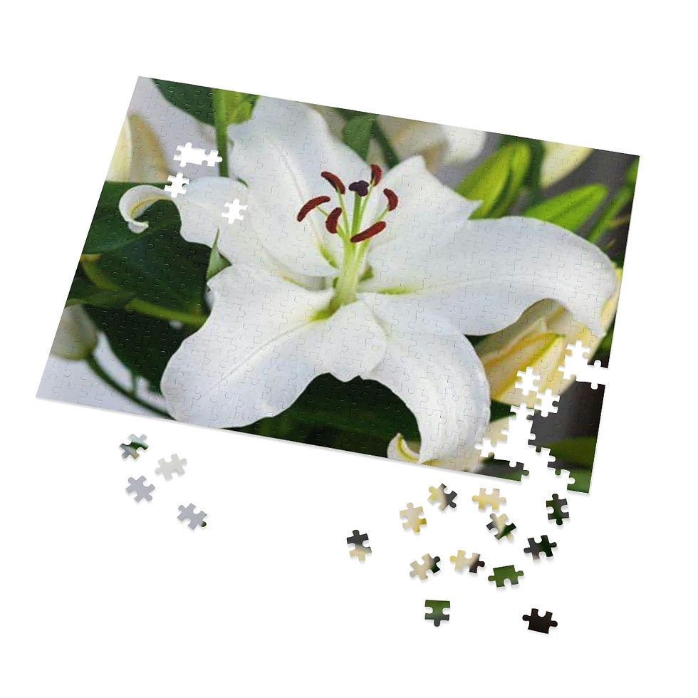 Jigsaw Puzzle (30, 110, 252, 500,1000-Piece)