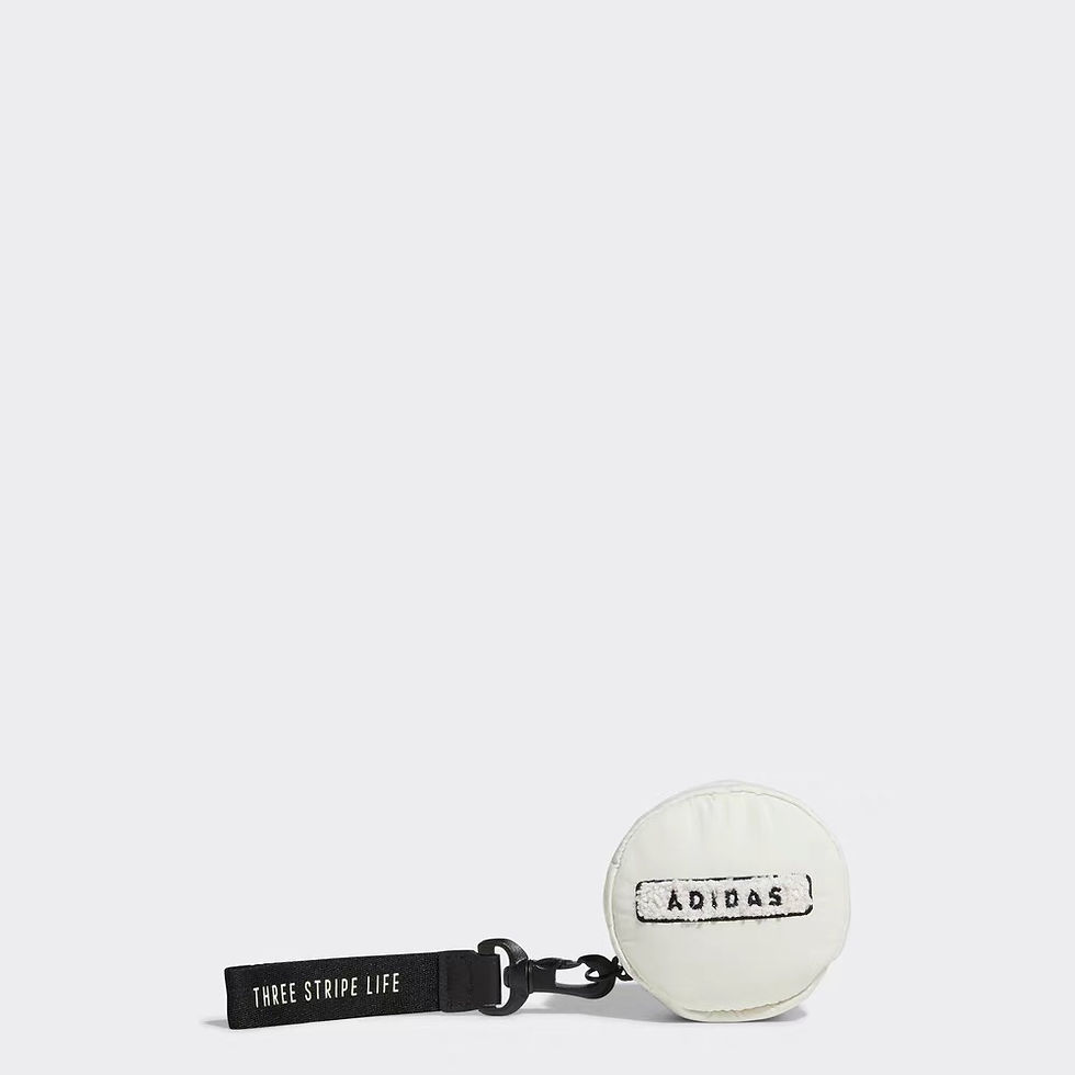 Thumbnail: Adidas Ball Case